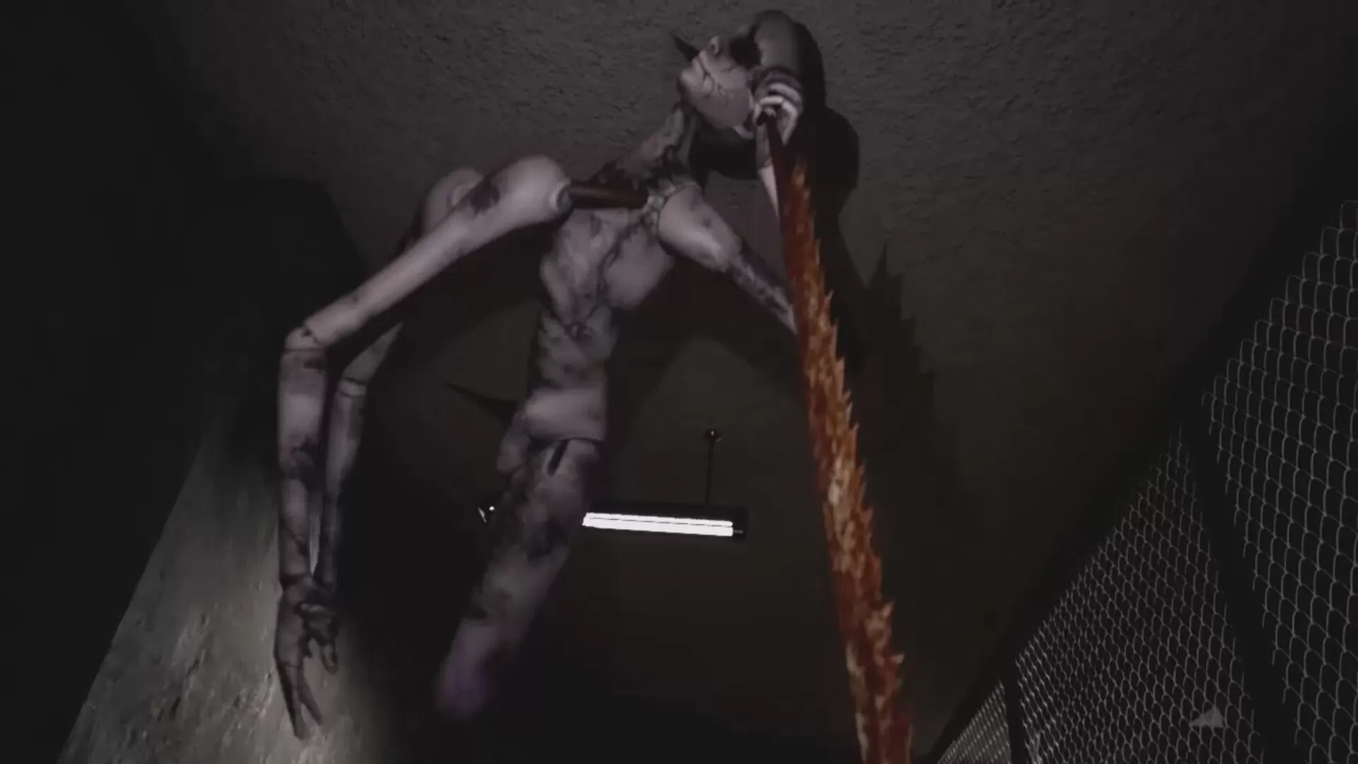 终末期异化/DYSTHANASIA