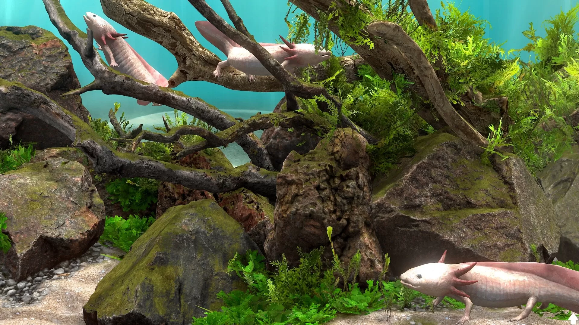 玻璃背后:水族馆模拟器/Behind Glass: Aquarium Simulator 玻璃背后:水族馆模拟器/Behind Glass: Aquarium Simulator