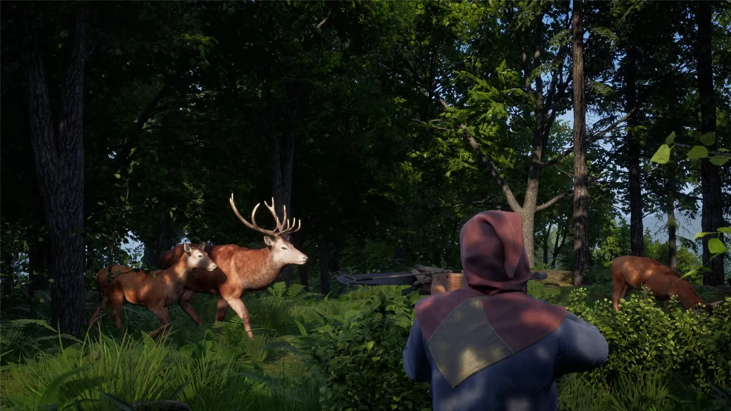 《中世纪王朝》v2.1.0.9中文版-互为学习资料库