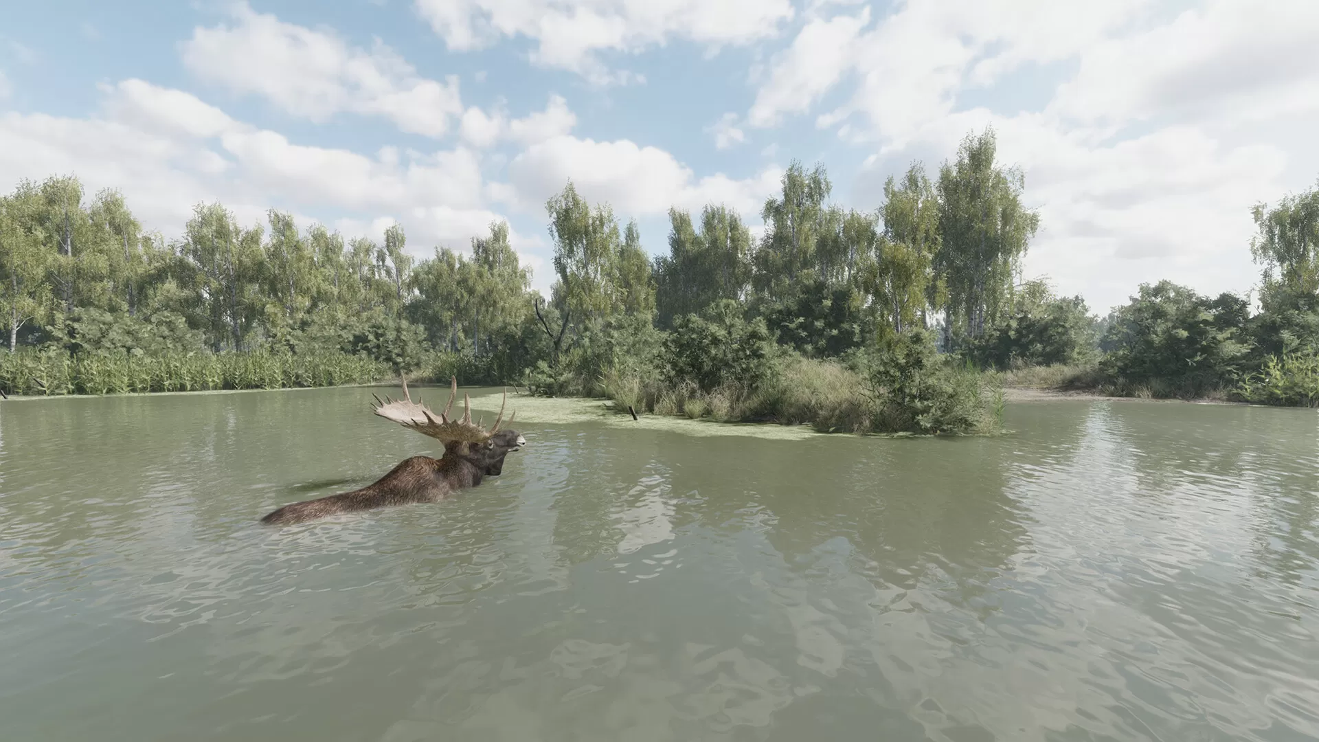 猎捕行动/On the Hunt-互为学习资料库