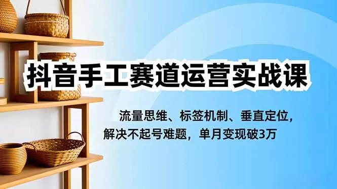 抖音手工赛道运营实战课，流量思维、标签机制、垂直定位，解决不起号难题，单月变现破3万-互为学习资料库