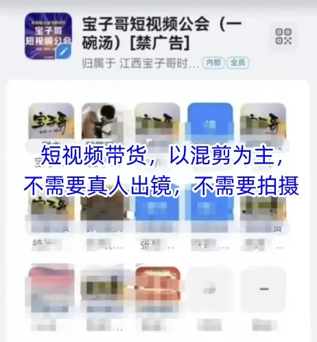 宝子哥头部团队短视频带货，以混剪为主，不需要真人出镜，不需要拍摄【更新11月】-互为学习资料库