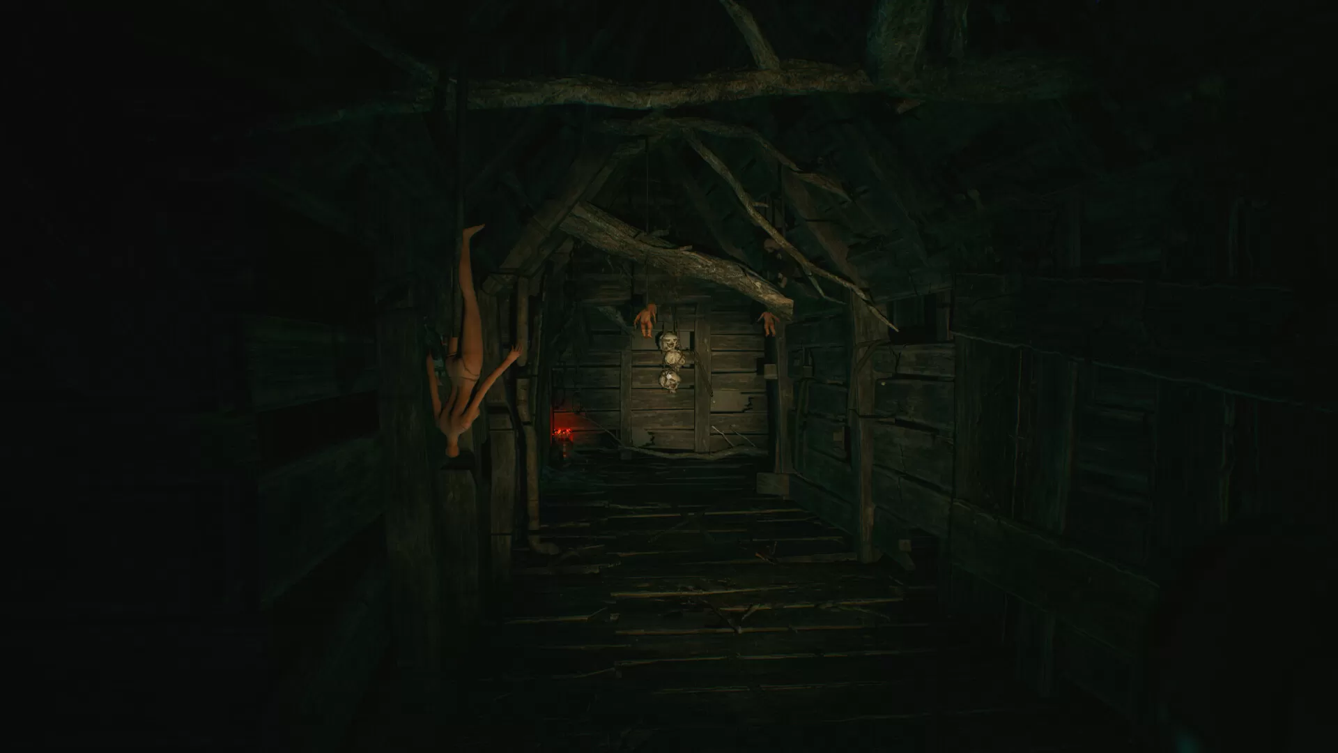 沉没的森林/The Sinking Forest