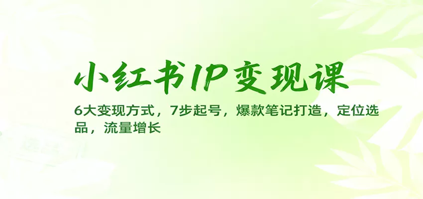 小红书IP变现课：6大变现方式，7步起号，爆款笔记打造，定位选品，流量增长-互为学习资料库