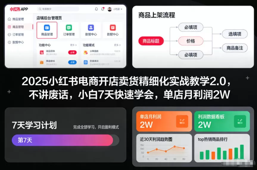 2025小红书电商开店卖货精细化实战教学2.0，不讲废话，小白7天快速学会，单店月利润2W-互为学习资料库