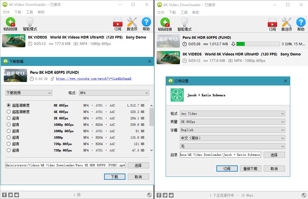 4K Video Downloader v4.33.2.0164-互为学习资料库