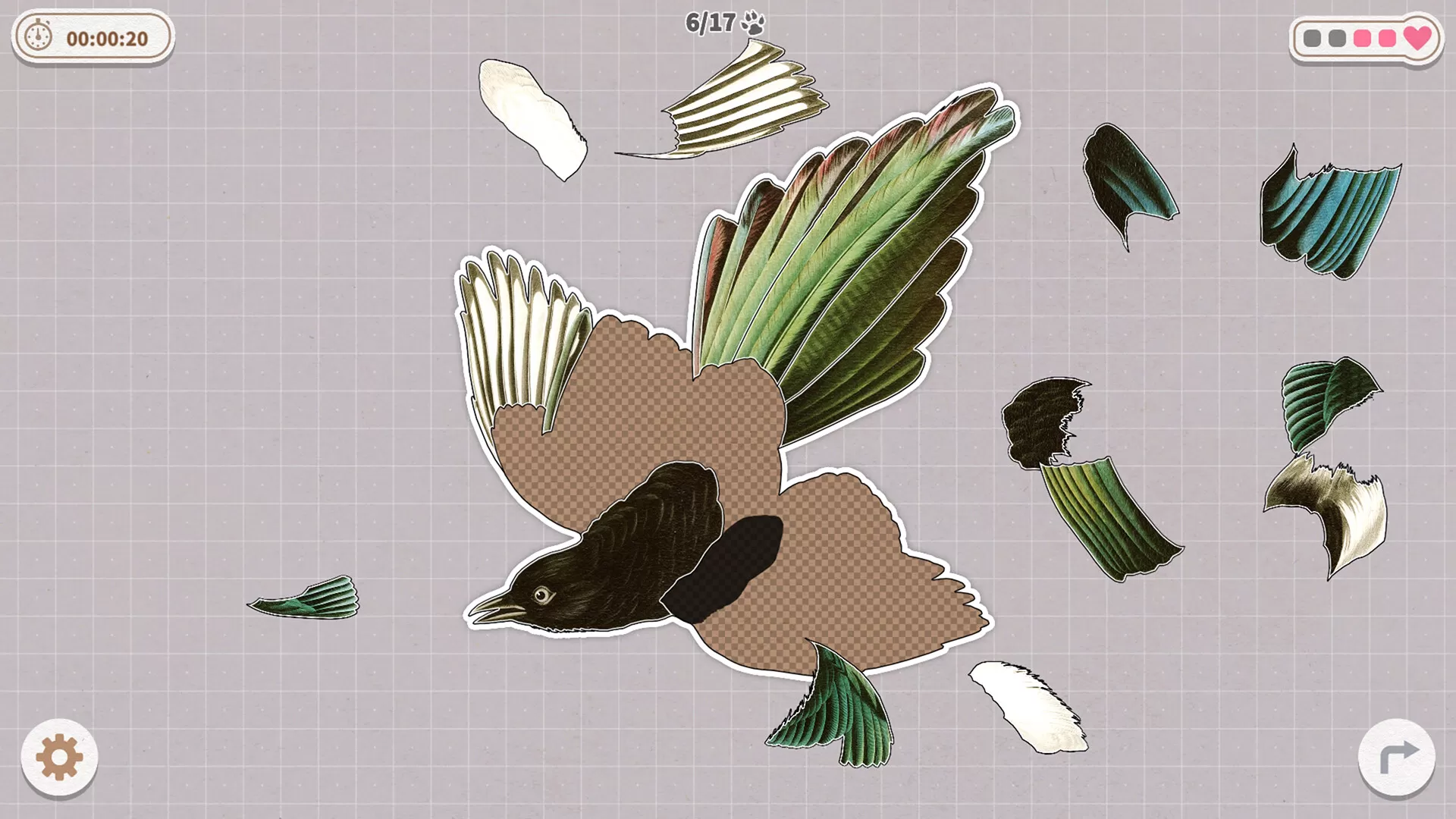 挤在一起的鸟鸟/Birds Huddled Together