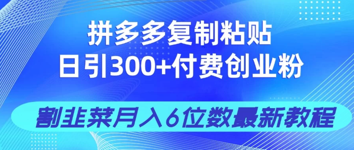 拼多多复制粘贴日引300+付费创业粉，割韭菜月入6位数最新教程！-互为学习资料库