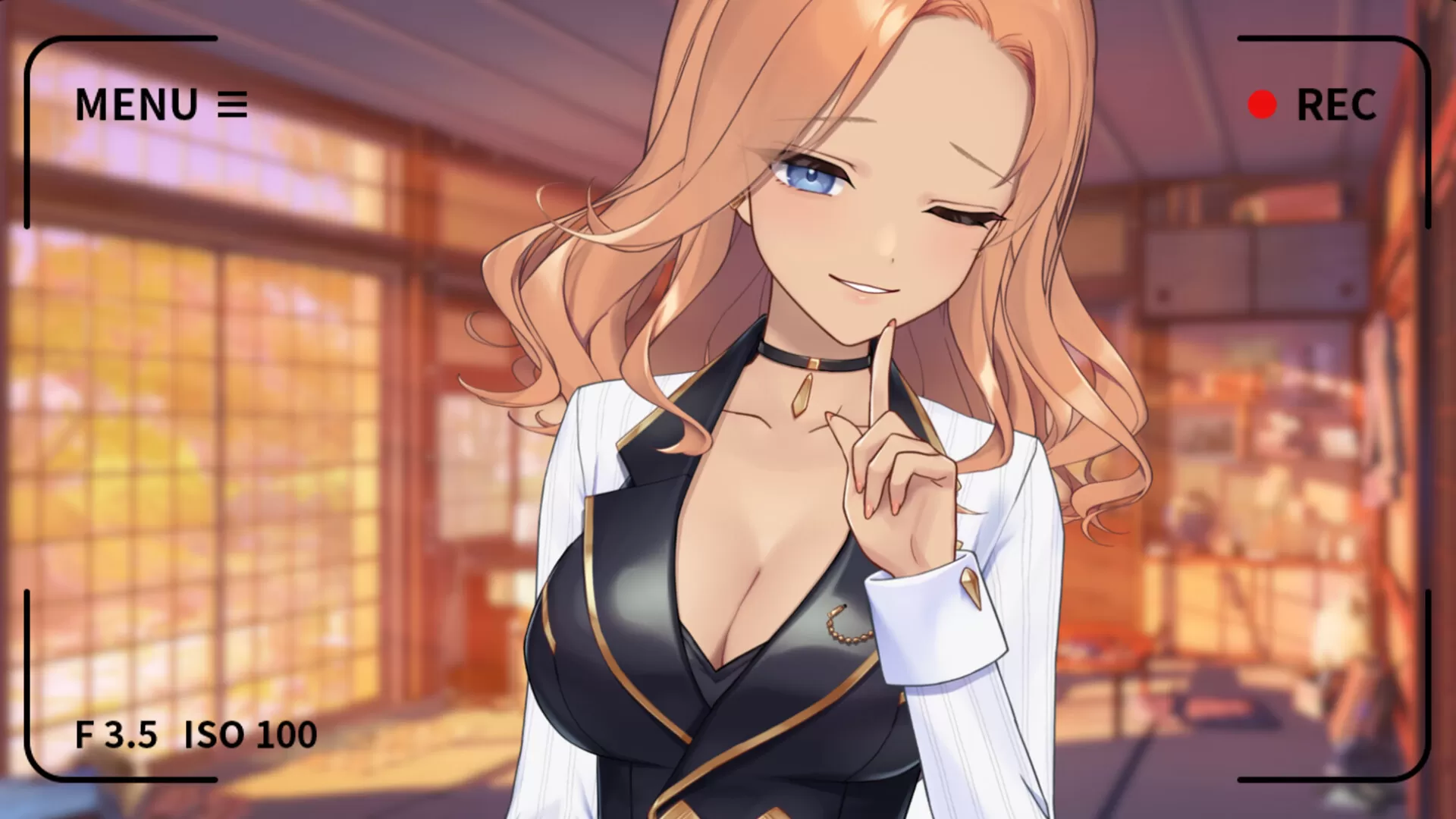 你的另一个老婆/Your Another Wife