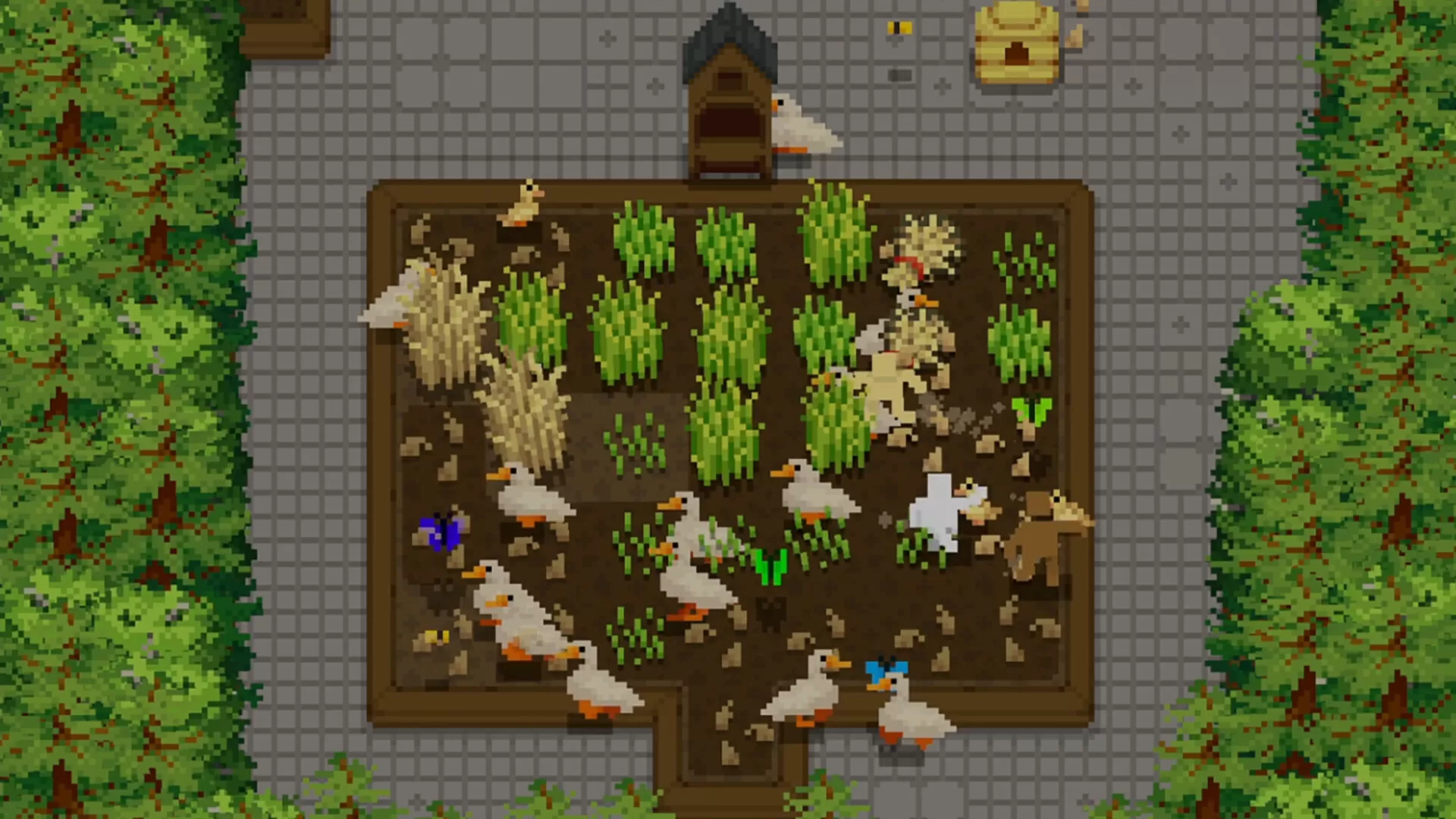 小梯田/Tiny Terraces