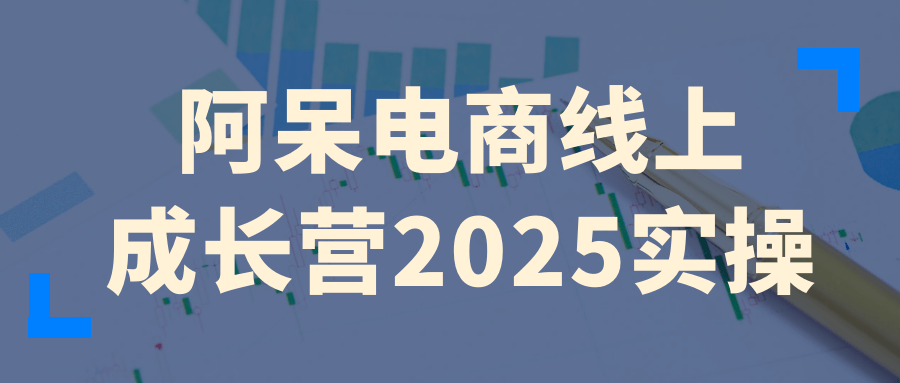阿呆电商线上成长营2025实操-互为学习资料库