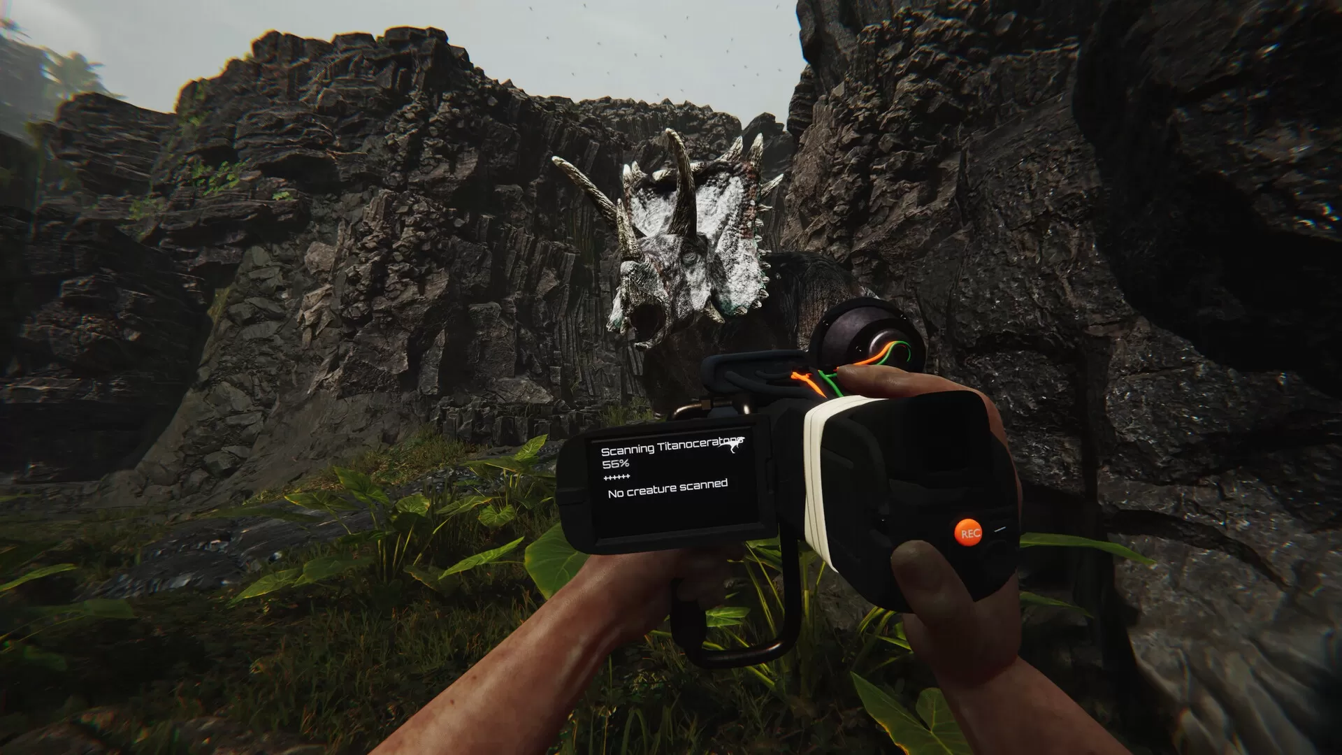 蛮荒计划/FEROCIOUS 蛮荒计划/FEROCIOUS