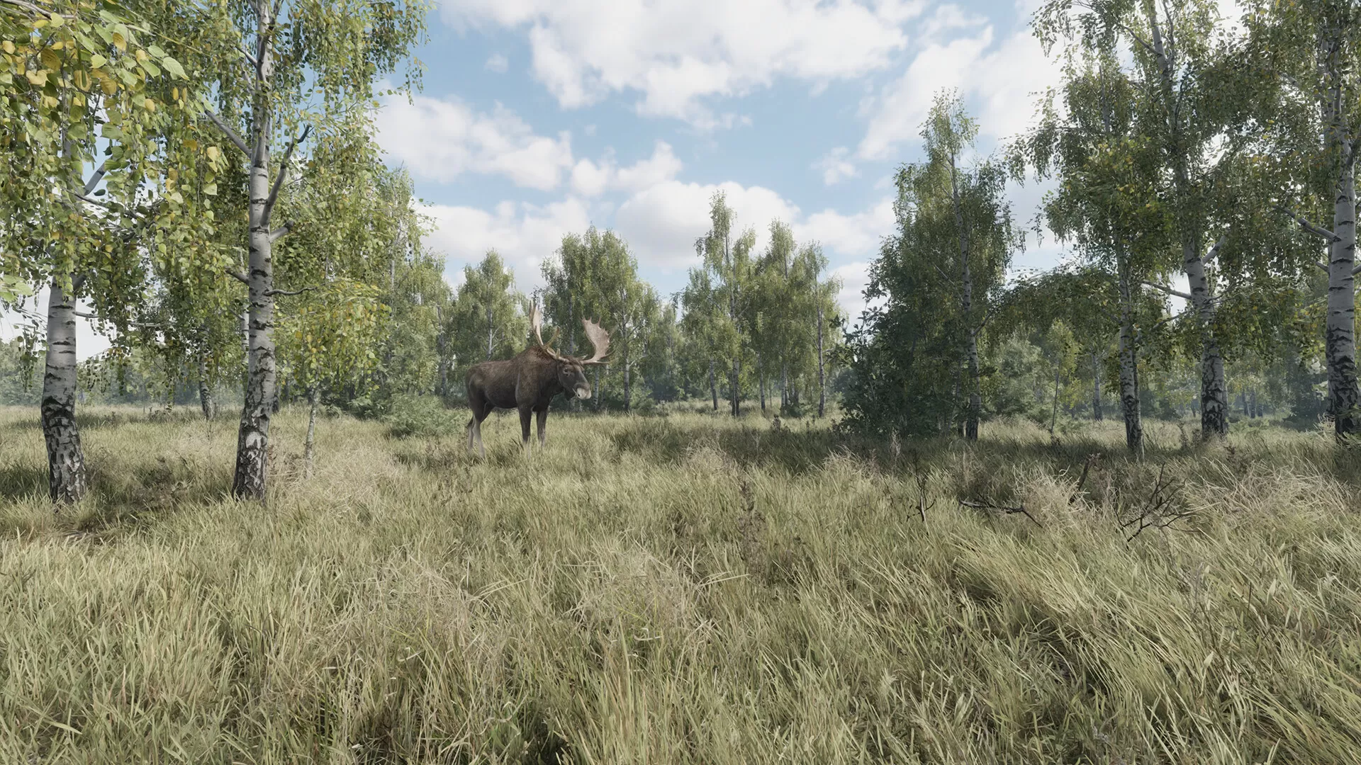 猎捕行动/On the Hunt