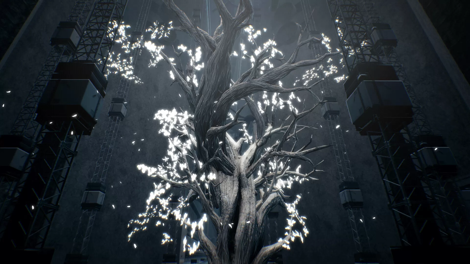 玩偶之巢/Dolls Nest 玩偶之巢/Dolls Nest