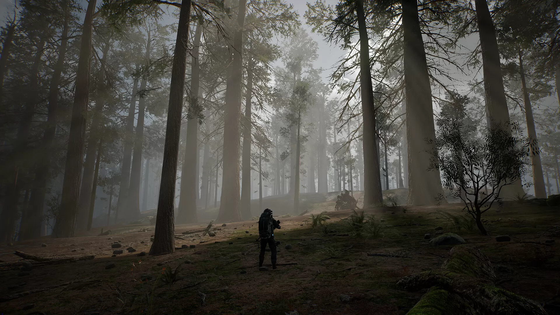 生命效应/LIFE EFFECT-互为学习资料库