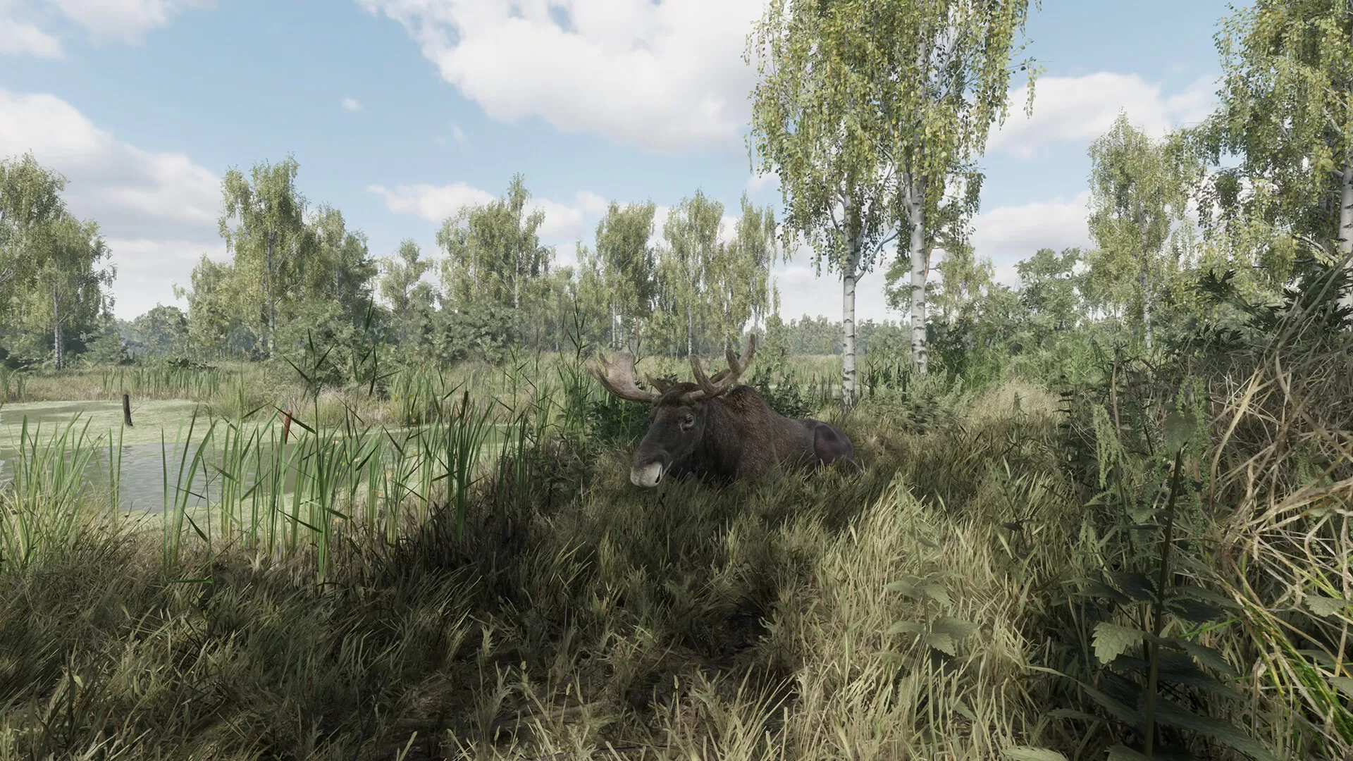 猎捕行动/On the Hunt