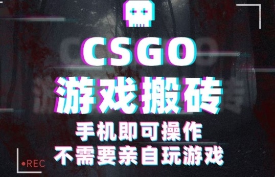 CSGO游戏挂G捡漏，单日扫货5张+，年底小高峰上车可吃肉，手机即可操作，兼职副业创业网创【揭秘】-互为学习资料库