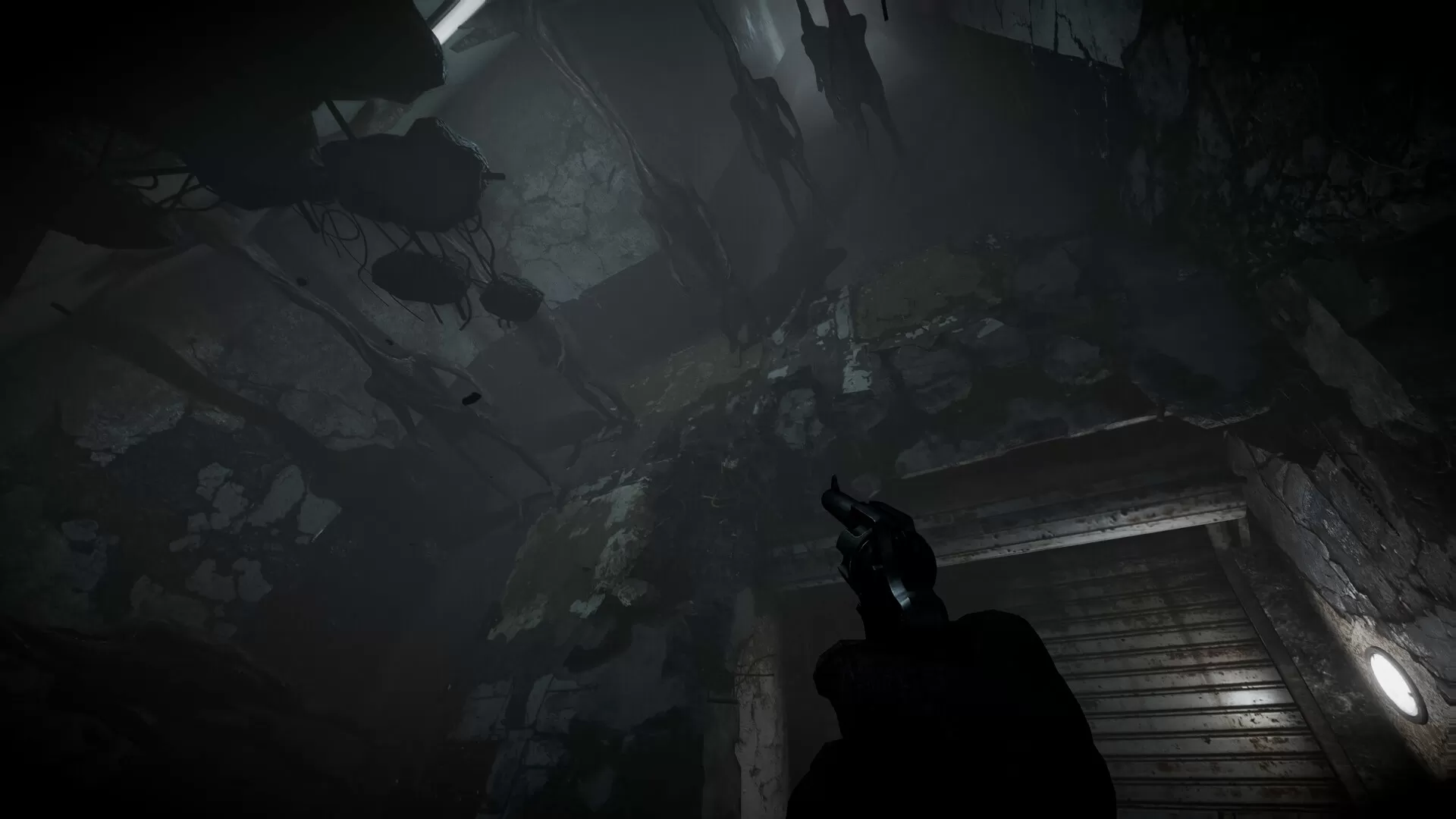 全面混沌/Total Chaos