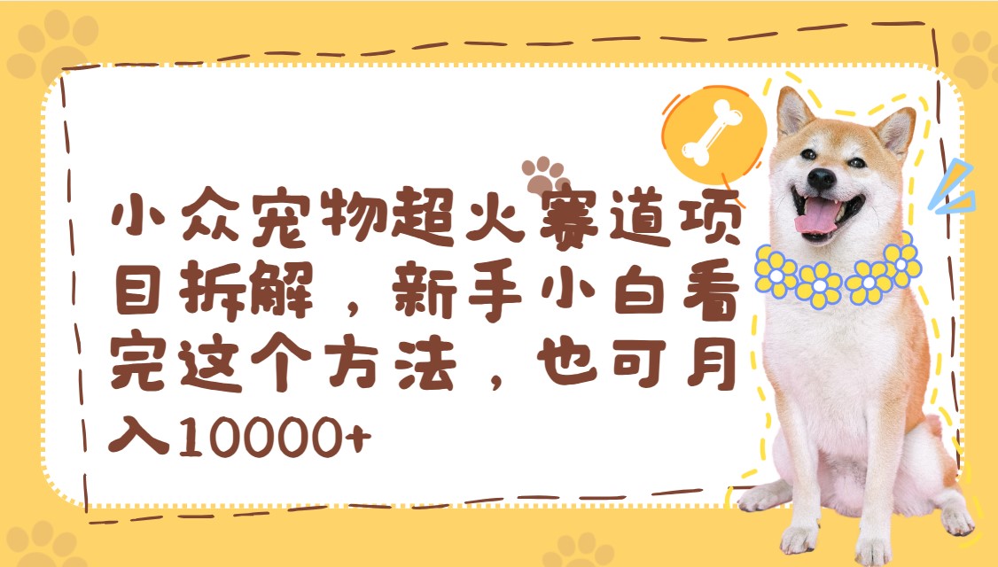 小众宠物超火赛道项目拆解,新手小白看完这个方法,也可月入10000+-互为学习资料库