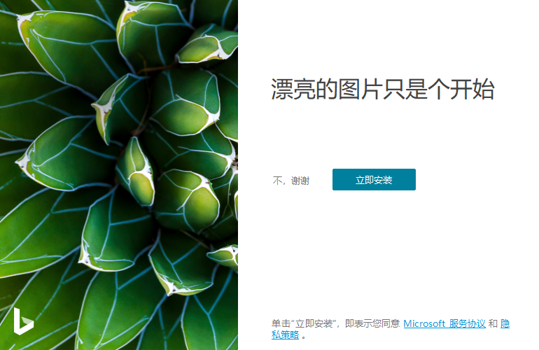 Bing Wallpaper v2.0.1.4中文版-趣奇资源网-第6张图片 Bing Wallpaper v2.0.1.4中文版-趣奇资源网-第6张图片