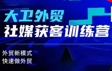大卫老师·外贸社媒获客独家训练营(更新)