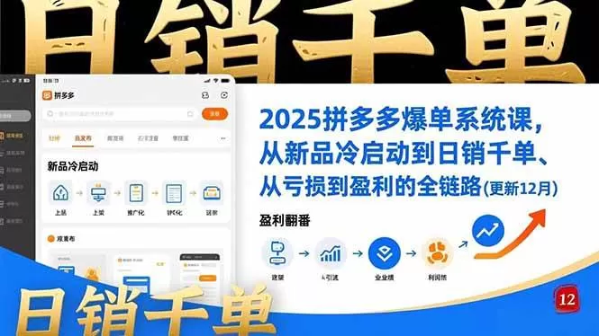 （16894期）2025拼多多爆单系统课，从新品冷启动到日销千单、从亏损到盈利的全链路（更新12月）-互为学习资料库