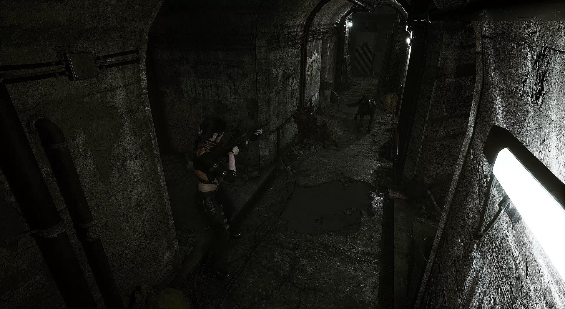 生者回响/Echoes of the Living 生者回响/Echoes of the Living