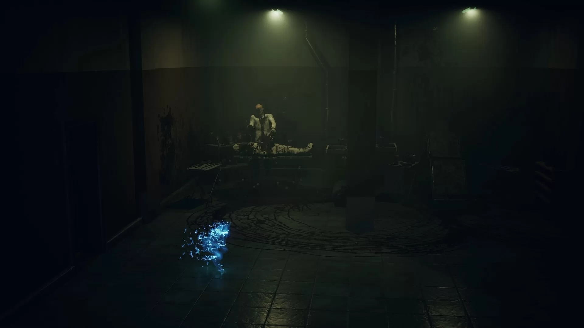 寂静之国的波斯菊/Ayasa: Shadows of Silence-互为学习资料库