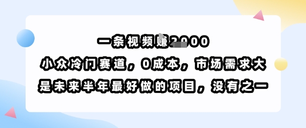 一条视频挣1k,小众冷门赛道,0成本,市场需求大,是未来半年最好做的项目,没有之一-互为学习资料库