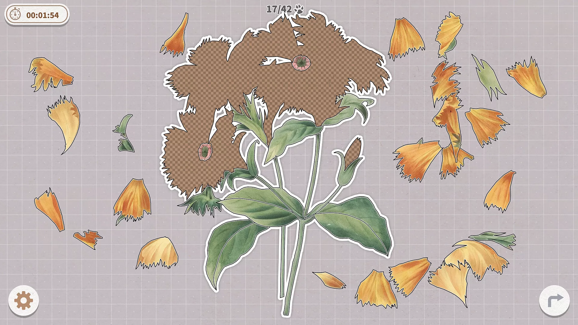 挤在一起的植物/Plants Huddled Together