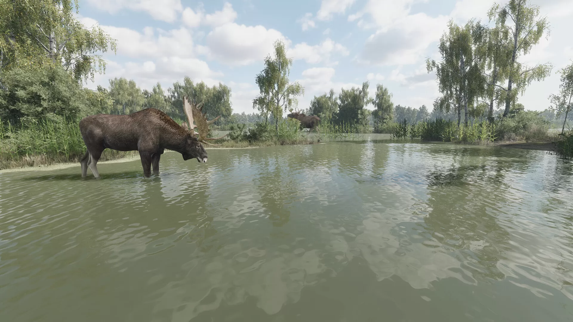 猎捕行动/On the Hunt