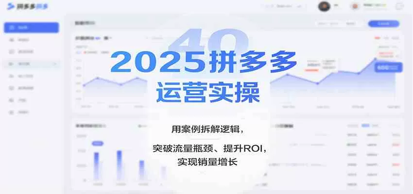 2025拼多多运营实操,用案例拆解逻辑,突破流量瓶颈、提升ROI,实现销量增长(更新)-互为学习资料库