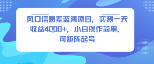 风口信息差蓝海项目，实测一天收益4k+，小白操作简单，可矩阵起号-互为学习资料库