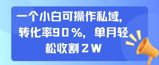 一个小白可操作私域，转化率90%，单月轻松收割2W-互为学习资料库