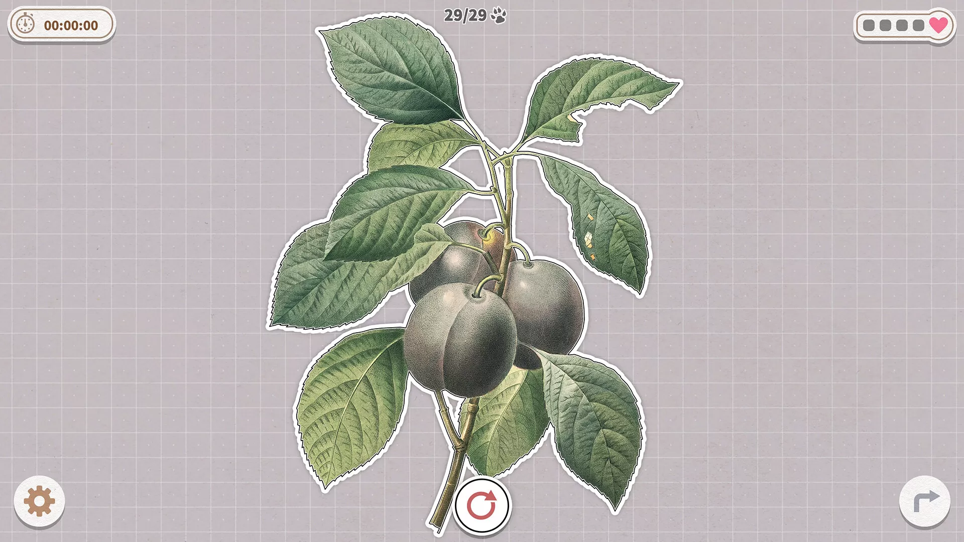 挤在一起的植物/Plants Huddled Together