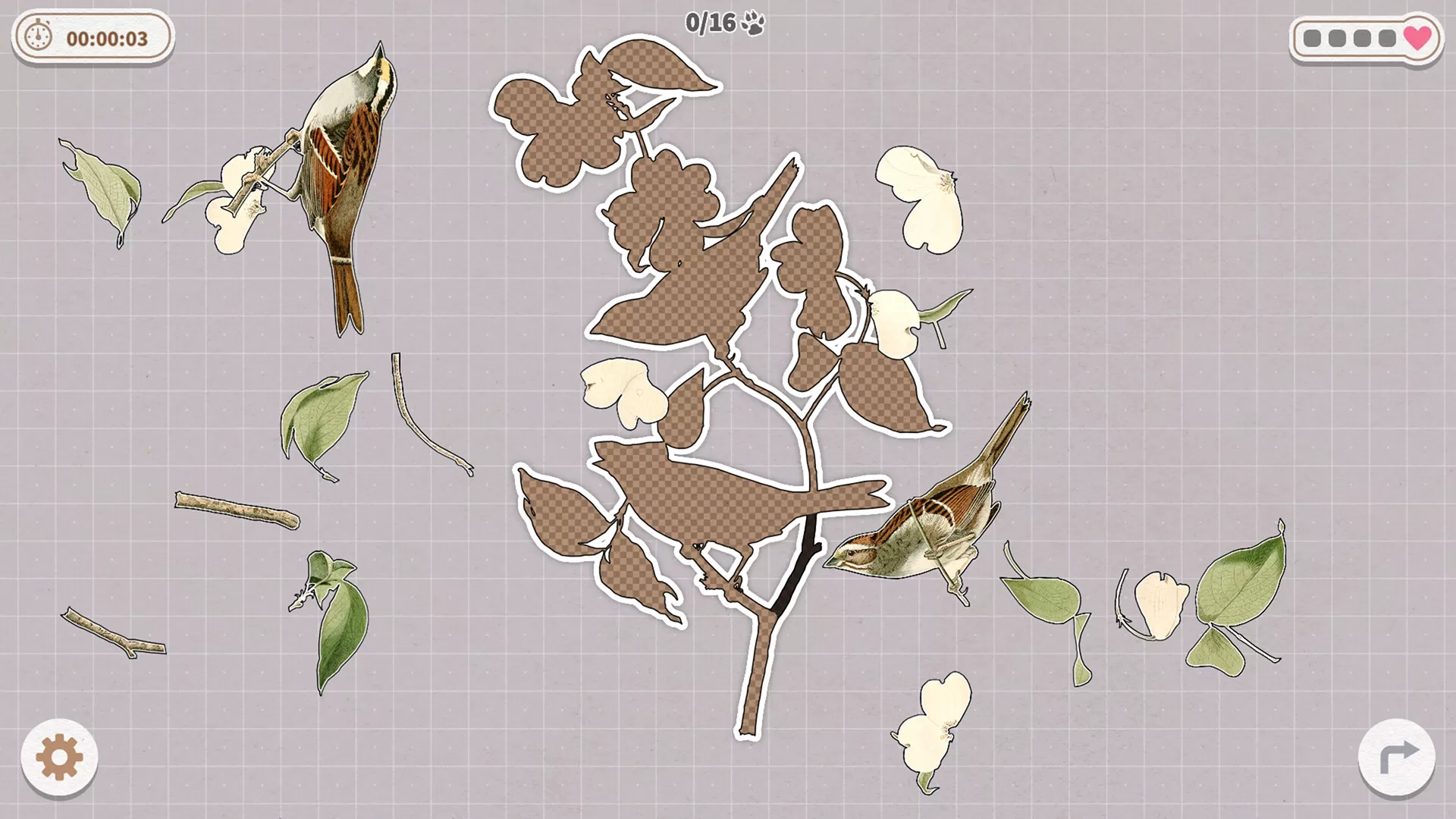 挤在一起的鸟鸟/Birds Huddled Together