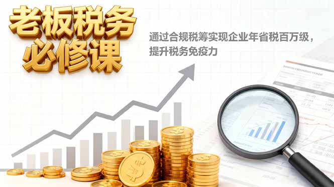 老板税务必修课,通过合规税筹实现企业年省税百万级,提升税务免疫力-互为学习资料库