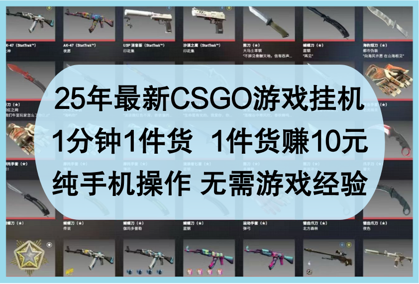 25年最新CSGO游戏挂机,1分钟1件货,1件货赚10元,纯手机操作,无需游戏经验-互为学习资料库