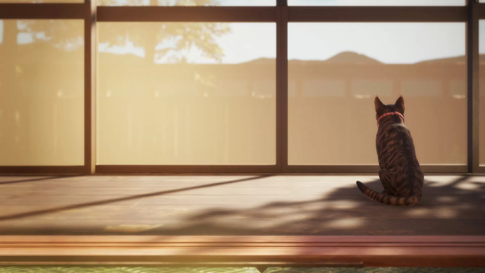 猫还在逃吗？/Still It Runs