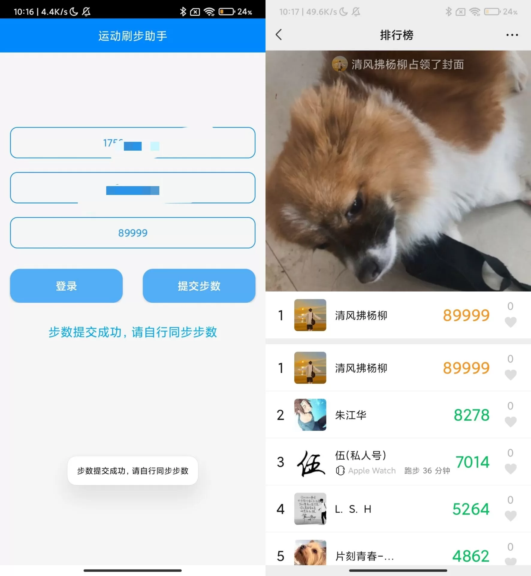 布偶步数助手 支持QQ微信支付宝-互为学习资料库