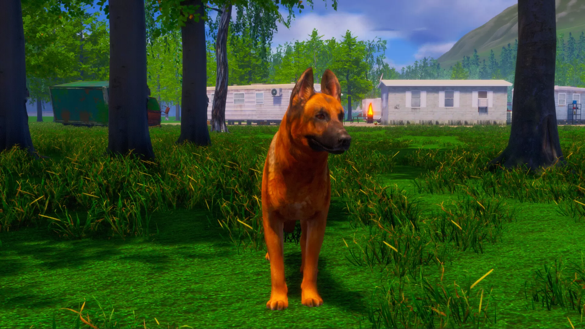 迷途狗爪/Lost Paws 迷途狗爪/Lost Paws