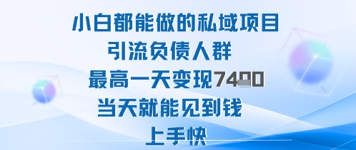2025年小白都能做的私域项目引流负债人群最高一天变现1k+高变现难度低当天就能见到钱上手快