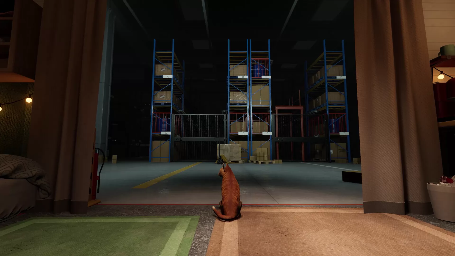 猫好货坏/ORDER 13