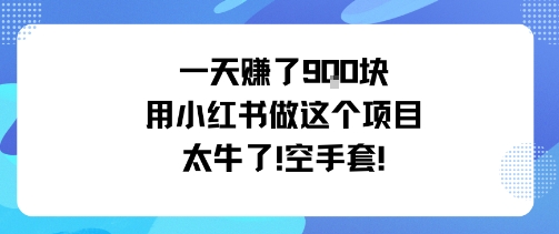 一天挣了9张用小红书做这个项目太牛了，空手套-互为学习资料库