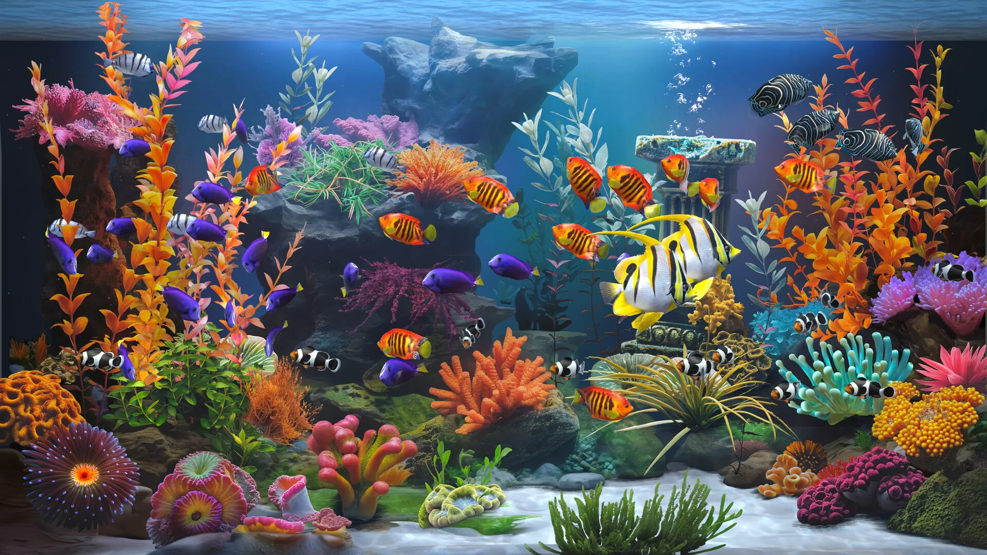 禅意水族馆/Zen Aquarium