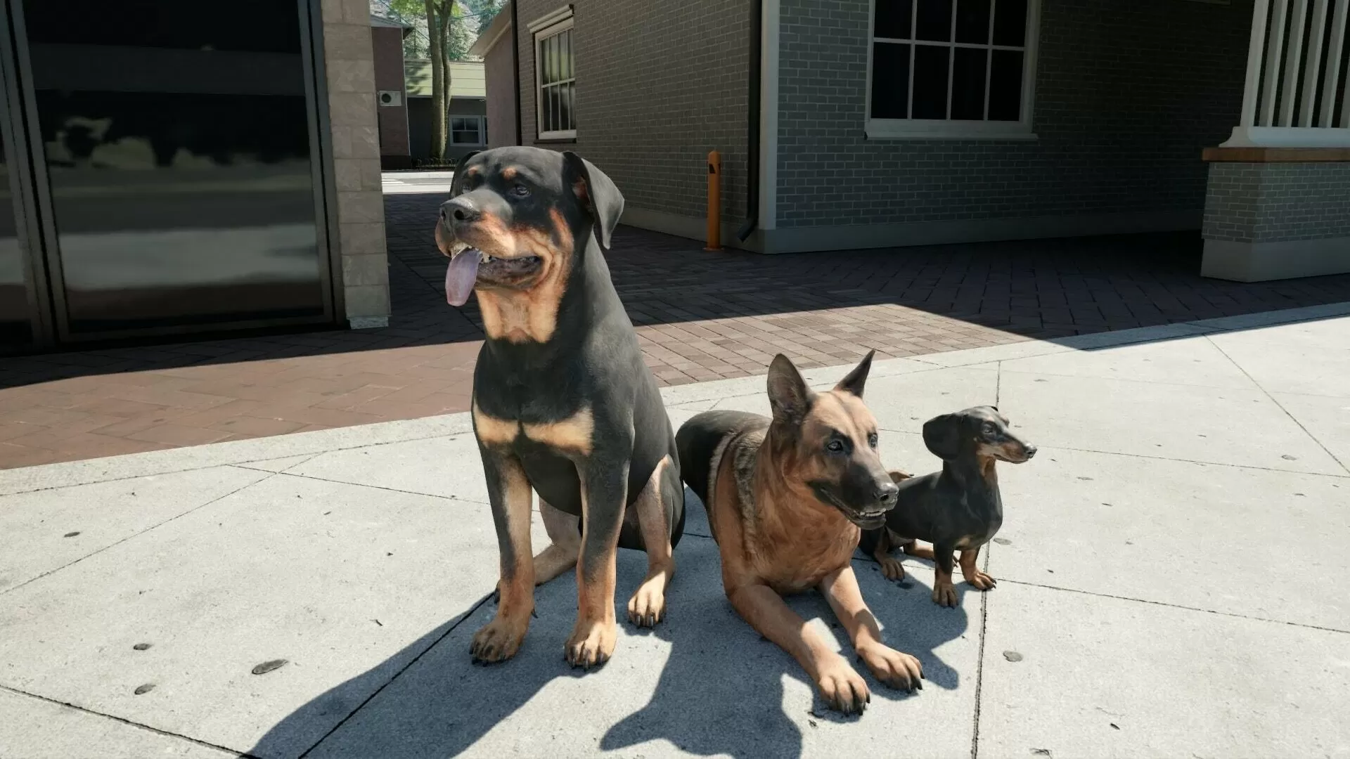 牧场模拟器/Ranch Simulator/支持网络联机 牧场模拟器/Ranch Simulator/支持网络联机