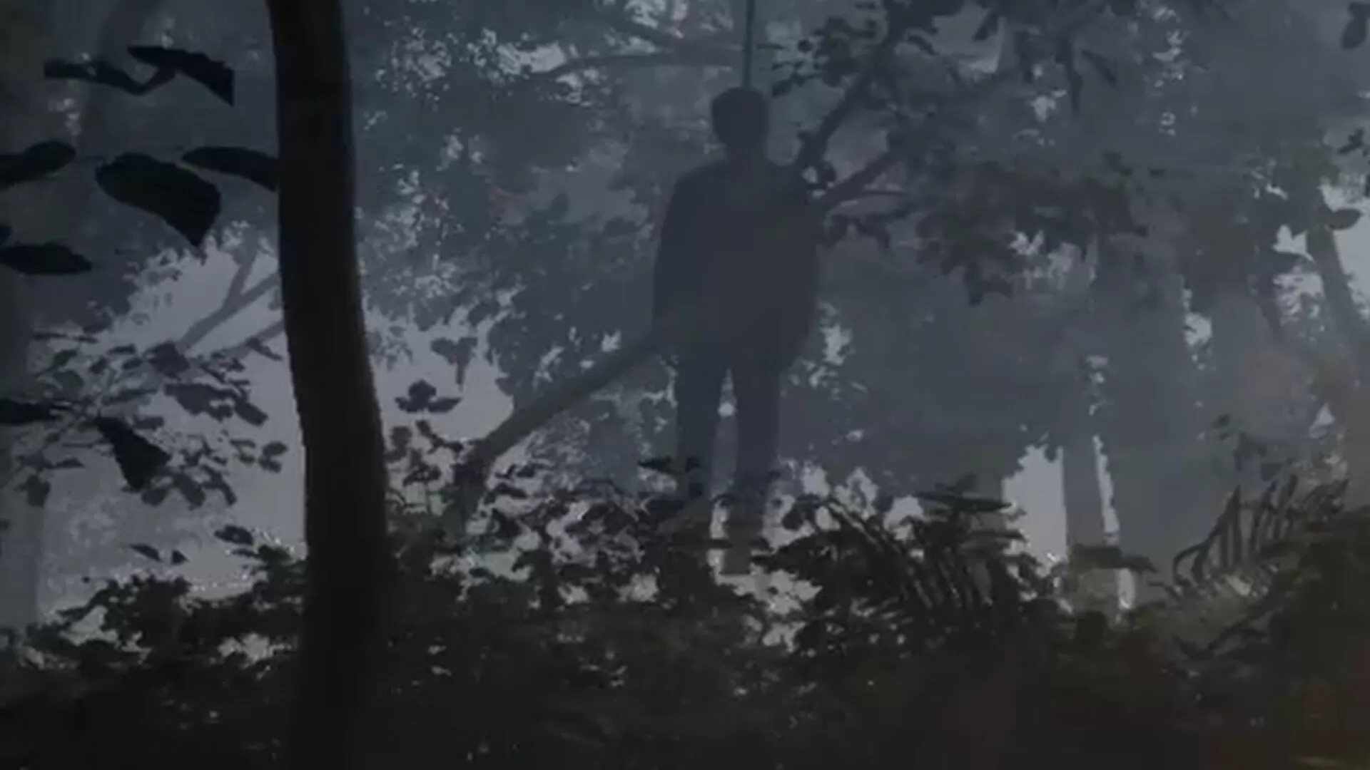 雾锁温泉/Misty Onsen