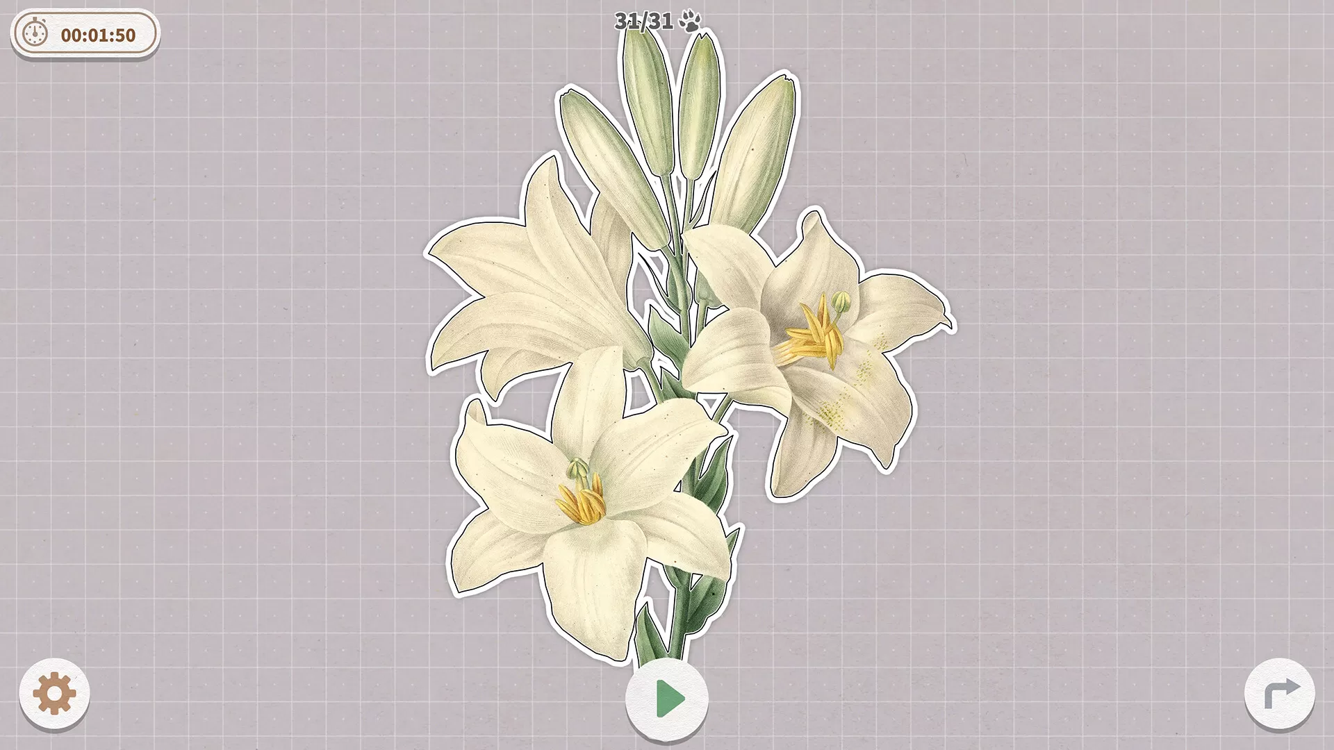 挤在一起的植物/Plants Huddled Together