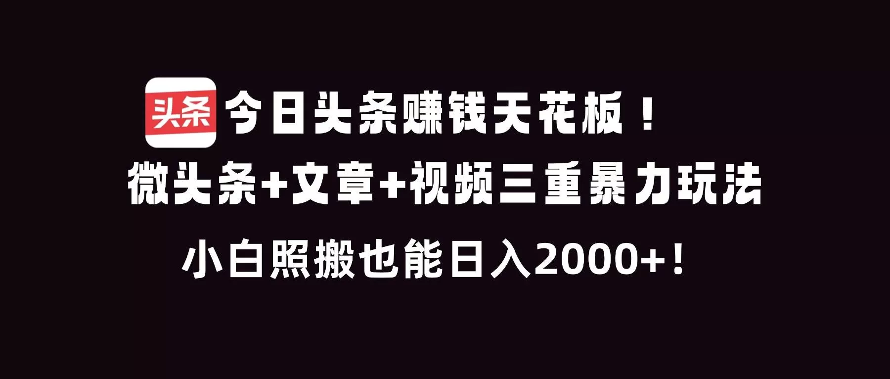 (16888期)今日头条赚钱天花板!微头条+文章+视频三重暴利玩法,小白照搬也能日人2000+ (16888期)今日头条赚钱天花板!微头条+文章+视频三重暴利玩法,小白照搬也能日人2000+