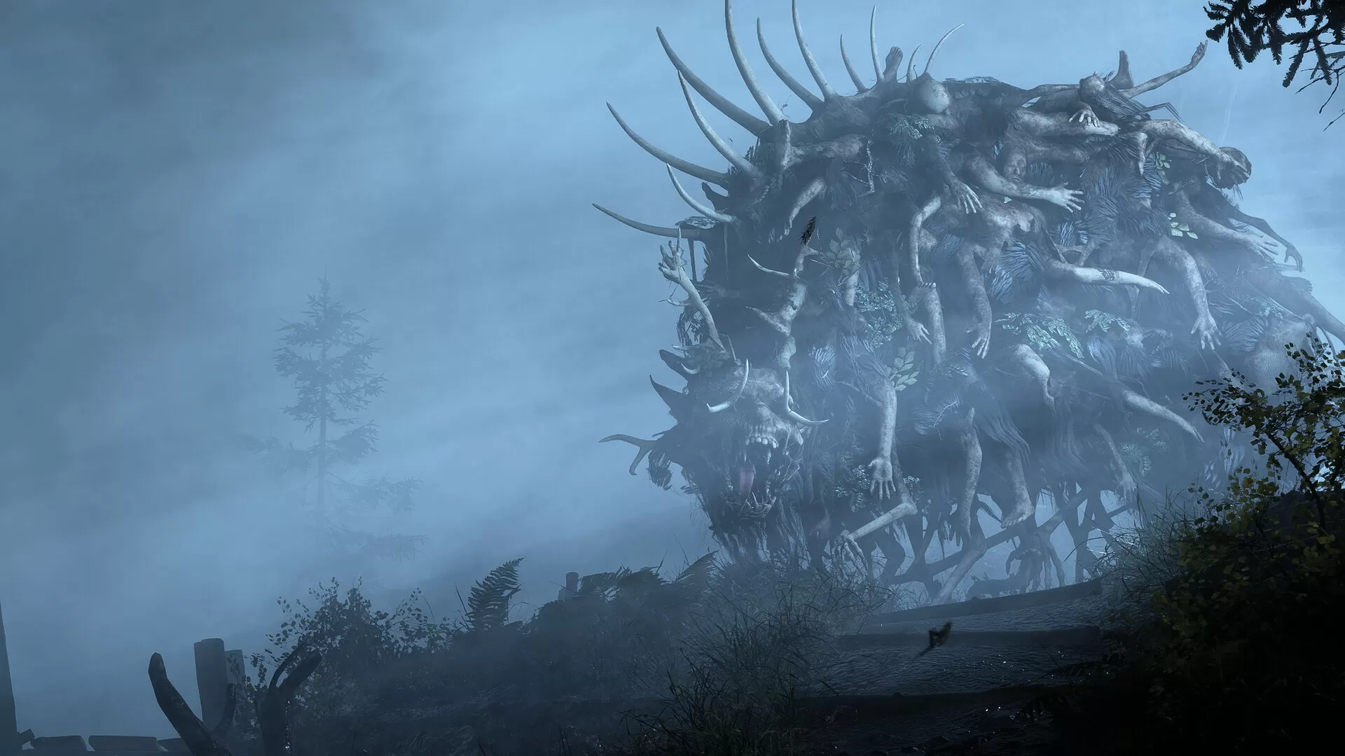 荒凉避难所/Bleak Haven